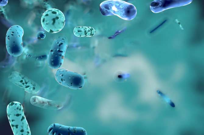 Nekaj so probiotiki, nekaj pa prebiotiki