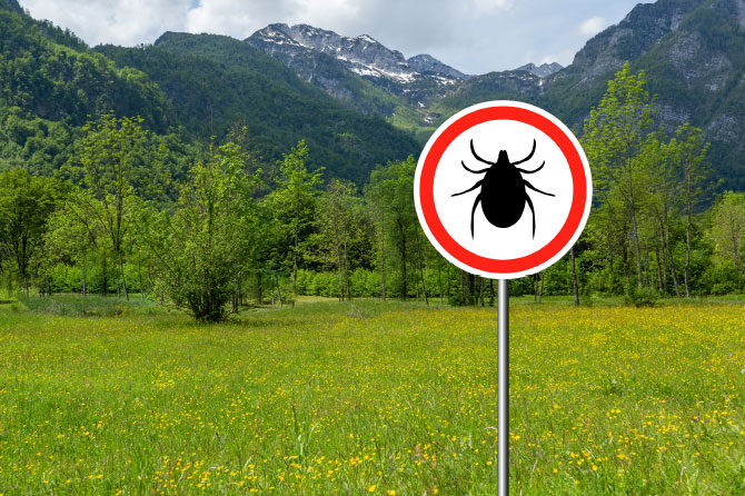 Ko ti nekaj majhnega povzroči velike težave