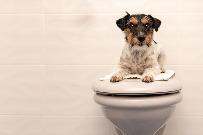 Zaprtje je tudi posledica manjše telesne aktivnosti