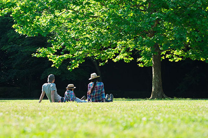 Vroče poletje – kako ga preživeti?