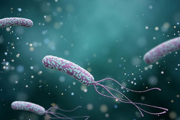 Helicobacter pylori – bakterija, ki živi na sluznici želodca