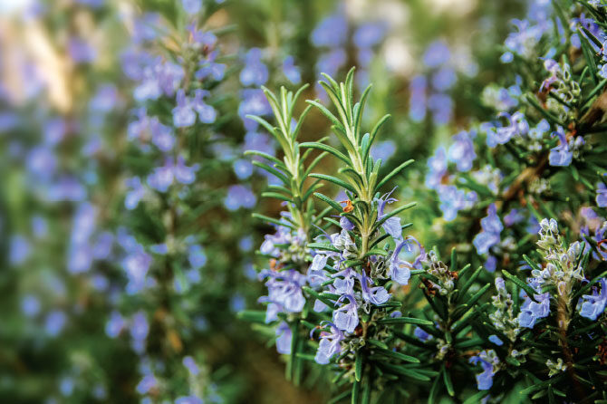 Najpogostejše bolečine v mišicah, ki pripeljejo bolnika k zdravniku