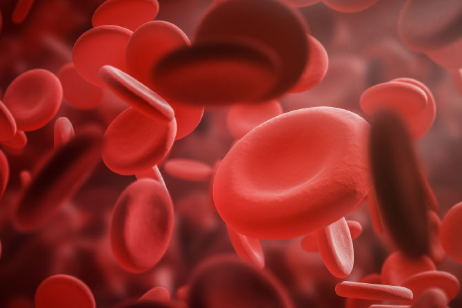 Slabokrvnost – Za anemijo je največkrat krivo pomanjkanje železa