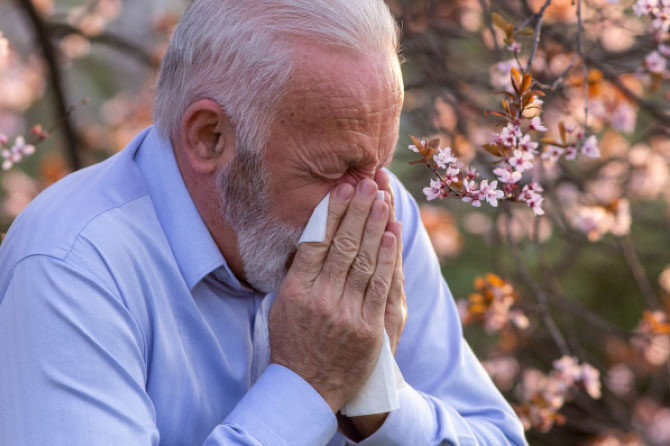 Alergijski rinitis – Kihate kot zmaj, pa niste prehlajeni?