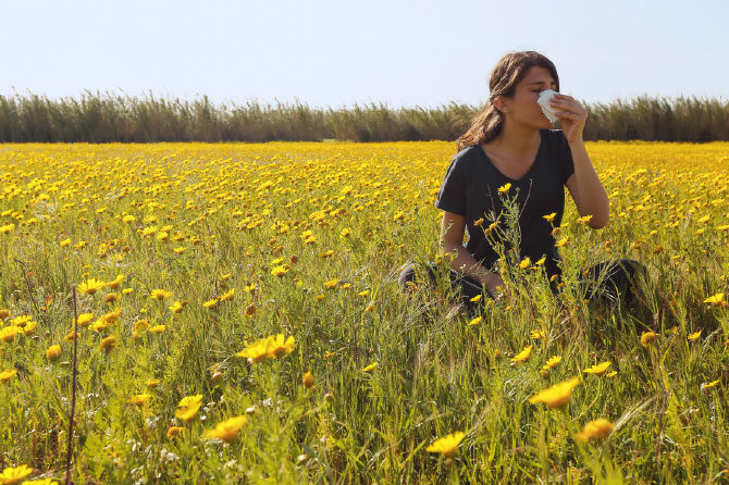 Alergije – Kdaj bo že konec tega kihanja, smrkanja in pordelih oči?