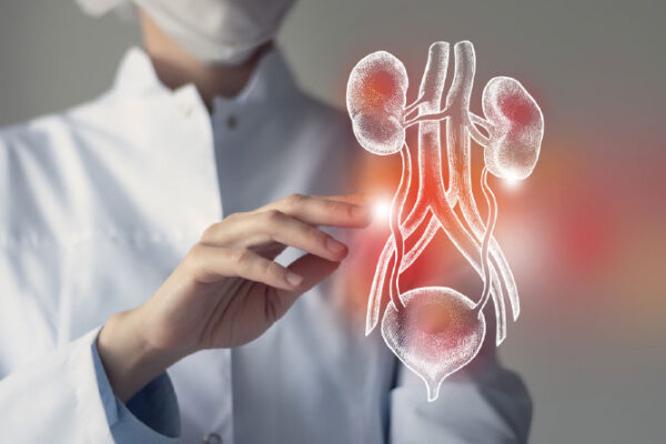 Vnetje sečil – Pijte več vode in se izogibajte stresu