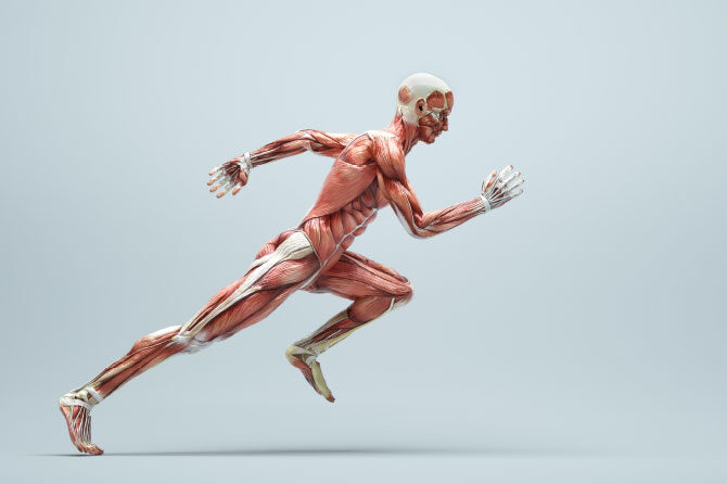 Ne smemo le počivati, biti moramo zmerno aktivni